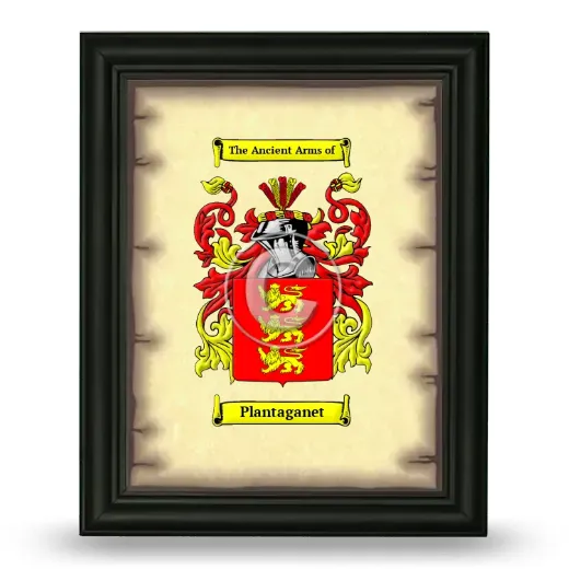 Plantaganet Coat of Arms Framed - Black