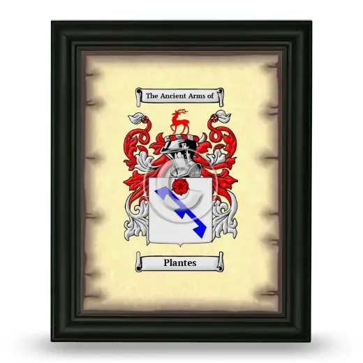 Plantes Coat of Arms Framed - Black