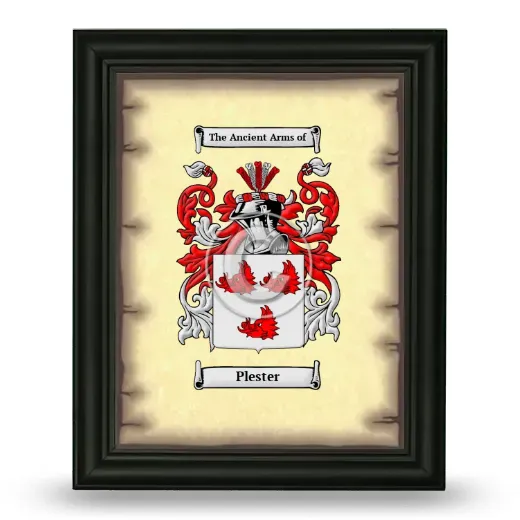 Plester Coat of Arms Framed - Black