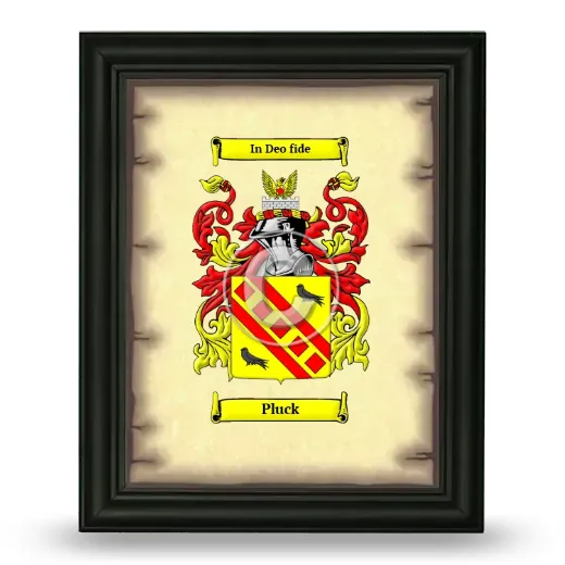 Pluck Coat of Arms Framed - Black