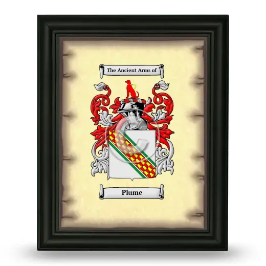 Plume Coat of Arms Framed - Black