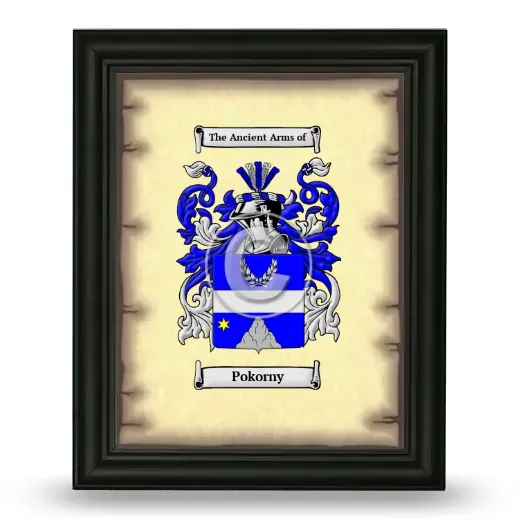 Pokorny Coat of Arms Framed - Black