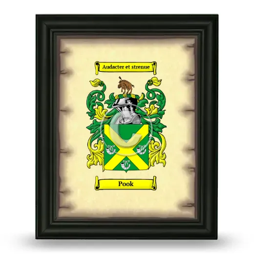 Pook Coat of Arms Framed - Black