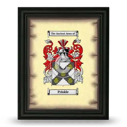 Prinkle Coat of Arms Framed - Black