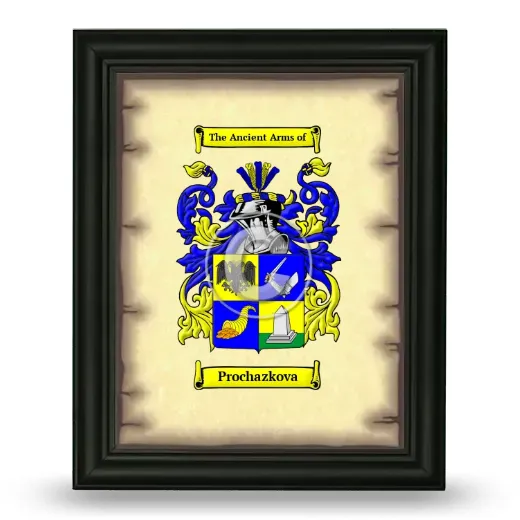 Prochazkova Coat of Arms Framed - Black