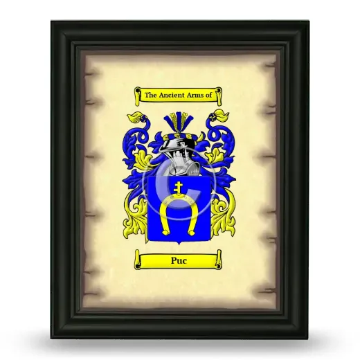 Puc Coat of Arms Framed - Black