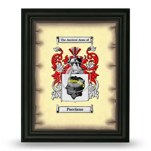 Pucciano Coat of Arms Framed - Black