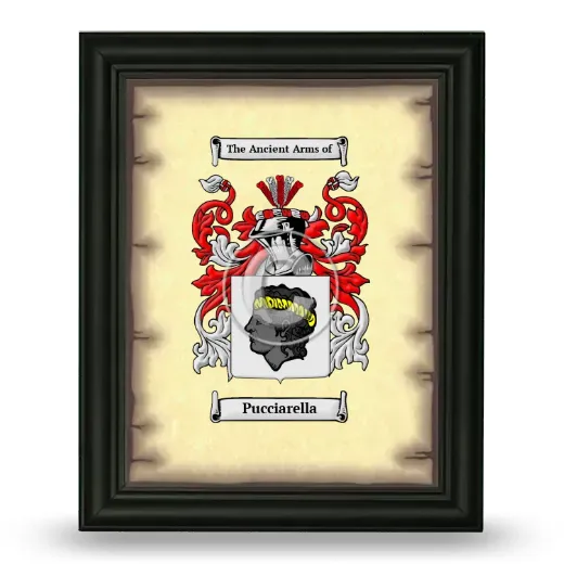 Pucciarella Coat of Arms Framed - Black