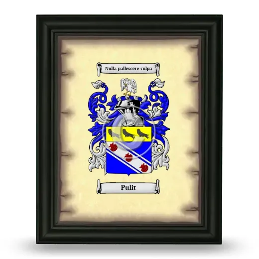 Pulit Coat of Arms Framed - Black