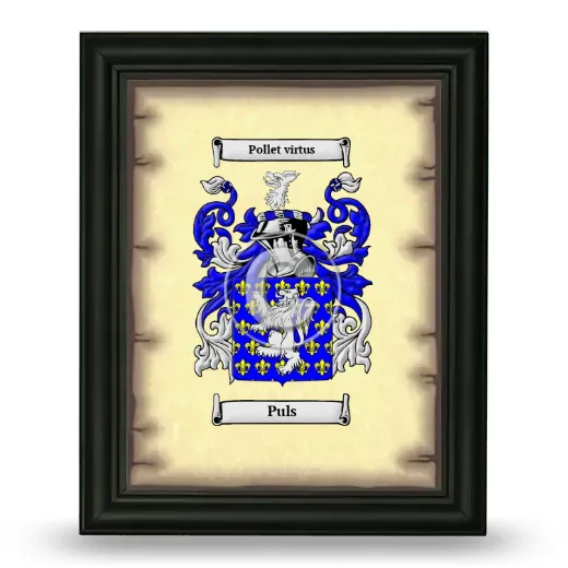 Puls Coat of Arms Framed - Black