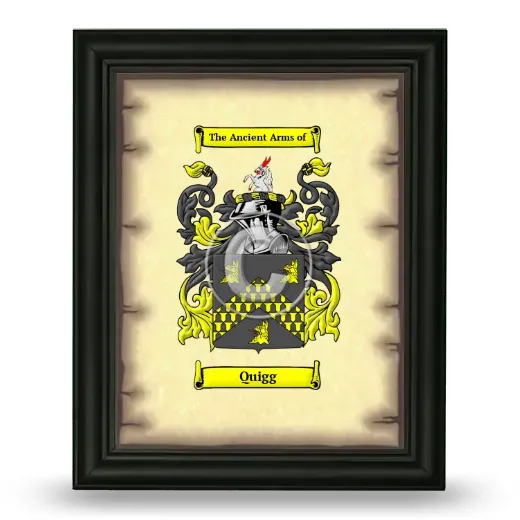 Quigg Coat of Arms Framed - Black