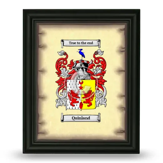 Quinland Coat of Arms Framed - Black