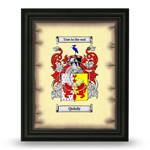 Quinly Coat of Arms Framed - Black