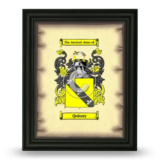 Quinny Coat of Arms Framed - Black