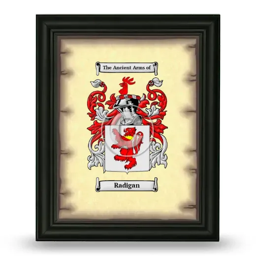 Radigan Coat of Arms Framed - Black