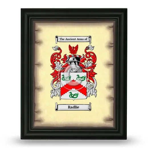Radlie Coat of Arms Framed - Black