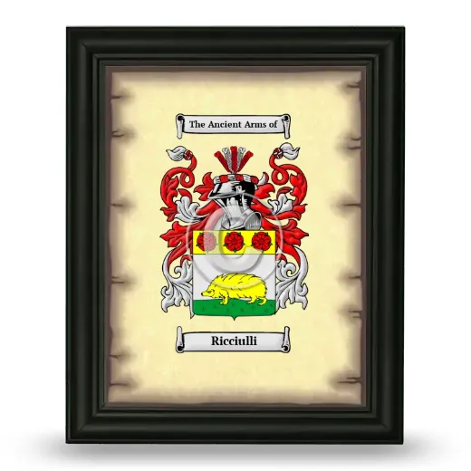 Ricciulli Coat of Arms Framed - Black