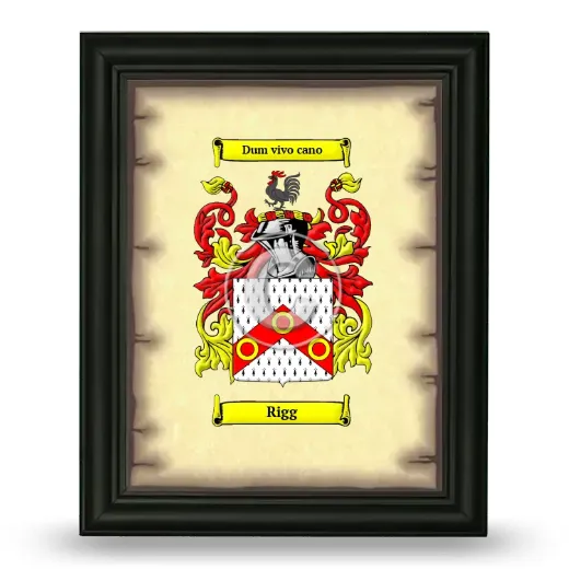 Rigg Coat of Arms Framed - Black