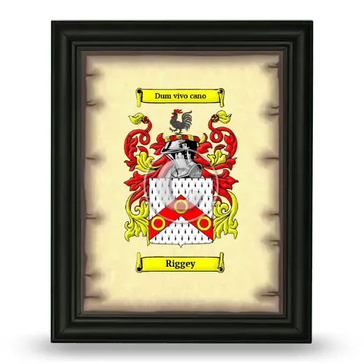 Riggey Coat of Arms Framed - Black