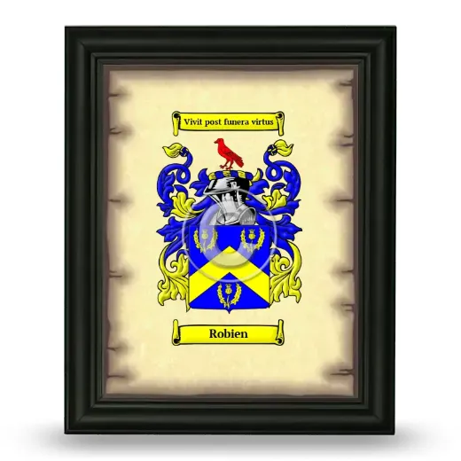 Robien Coat of Arms Framed - Black