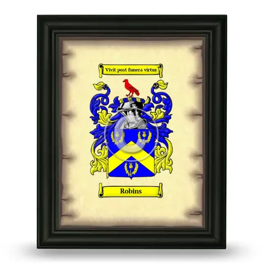 Robins Coat of Arms Framed - Black