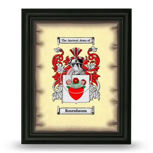 Rosenbaum Coat of Arms Framed - Black
