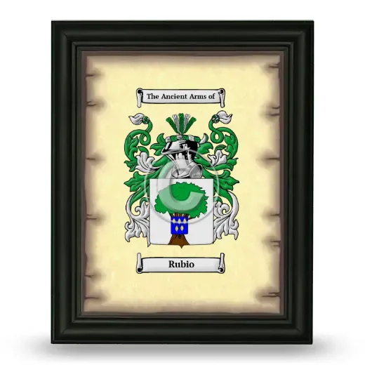 Rubio Coat of Arms Framed - Black