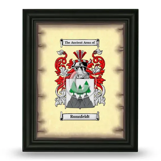 Runnfeldt Coat of Arms Framed - Black