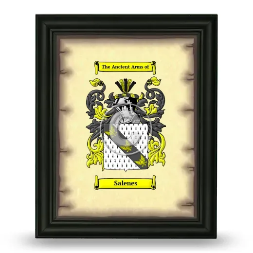 Salenes Coat of Arms Framed - Black