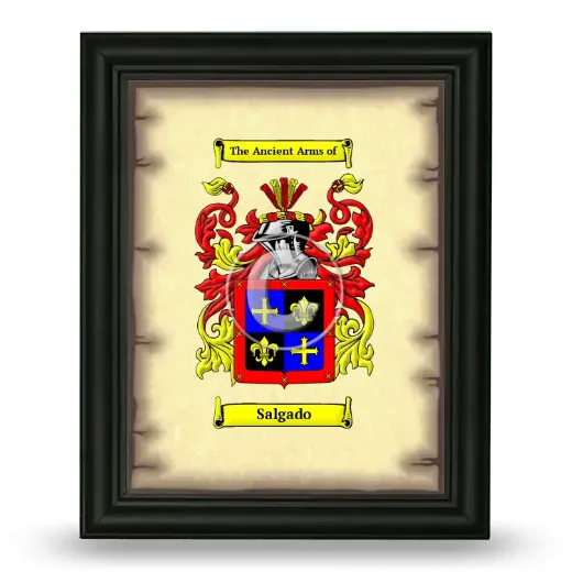 Salgado Coat of Arms Framed - Black