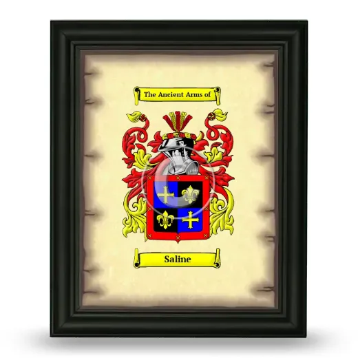Saline Coat of Arms Framed - Black