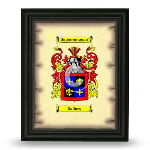 Salines Coat of Arms Framed - Black