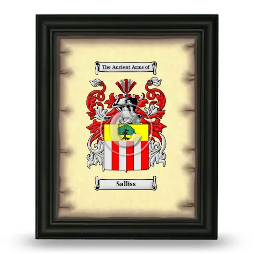 Salliss Coat of Arms Framed - Black