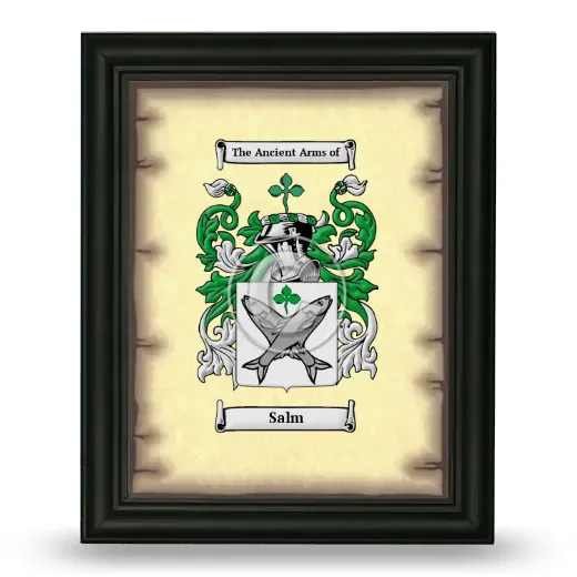 Salm Coat of Arms Framed - Black