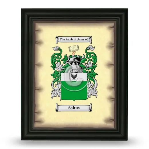 Saltus Coat of Arms Framed - Black