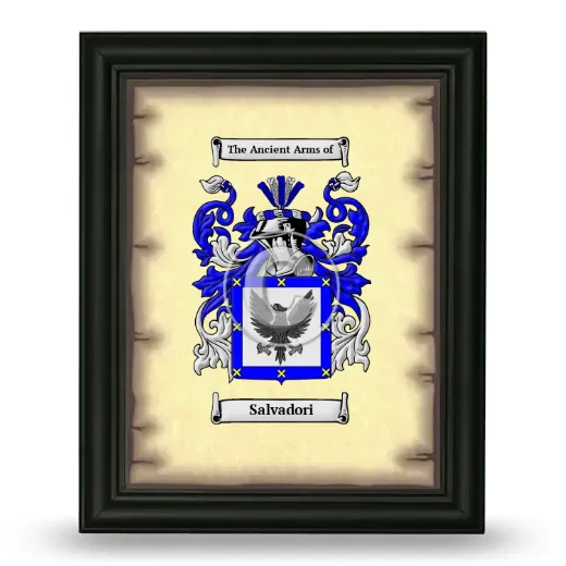 Salvadori Coat of Arms Framed - Black