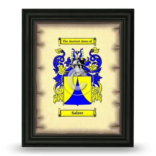 Salzer Coat of Arms Framed - Black
