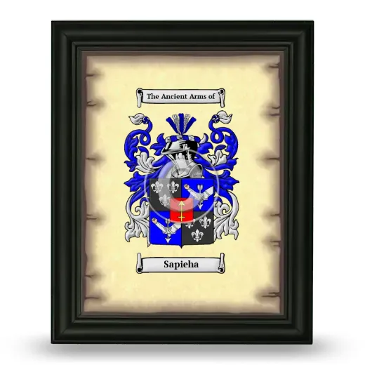 Sapieha Coat of Arms Framed - Black