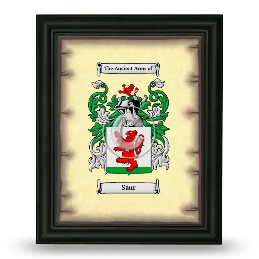 Saur Coat of Arms Framed - Black