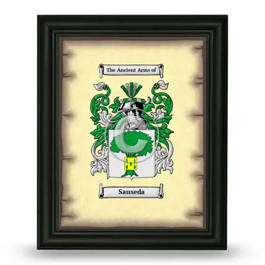 Sauseda Coat of Arms Framed - Black