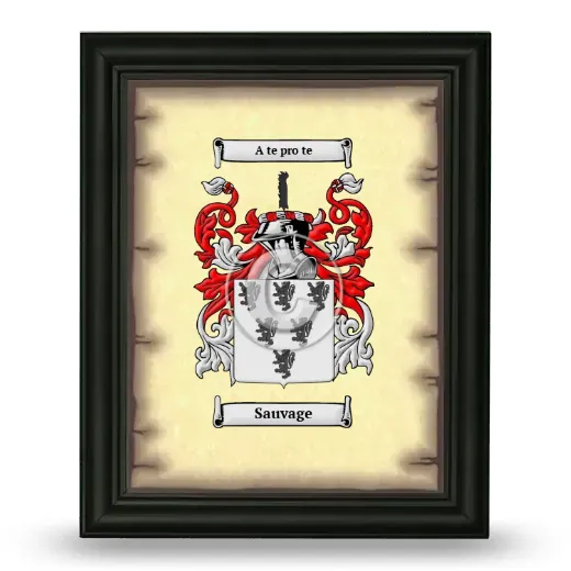 Sauvage Coat of Arms Framed - Black