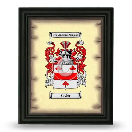 Sayler Coat of Arms Framed - Black