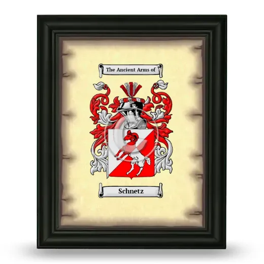 Schnetz Coat of Arms Framed - Black