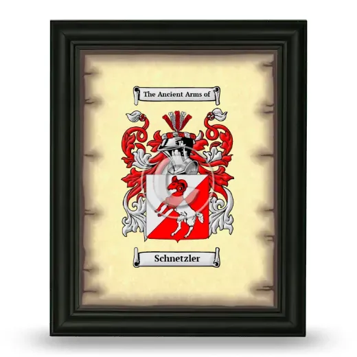 Schnetzler Coat of Arms Framed - Black