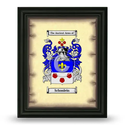 Schonlein Coat of Arms Framed - Black