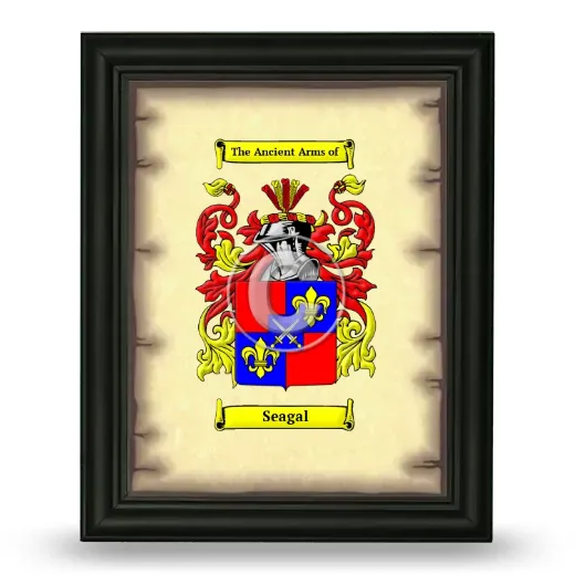 Seagal Coat of Arms Framed - Black