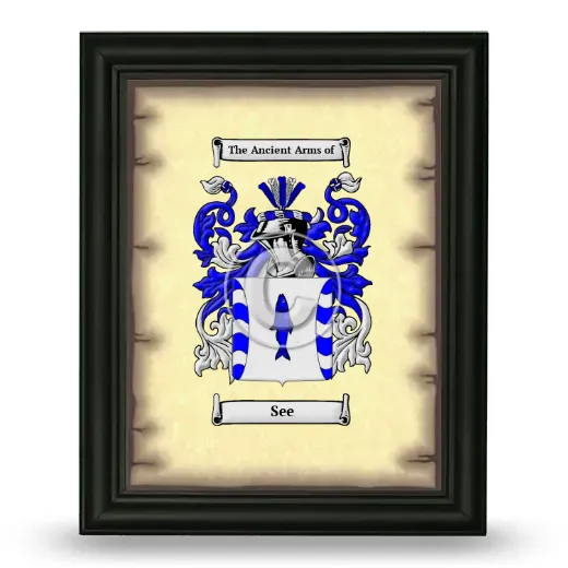 See Coat of Arms Framed - Black