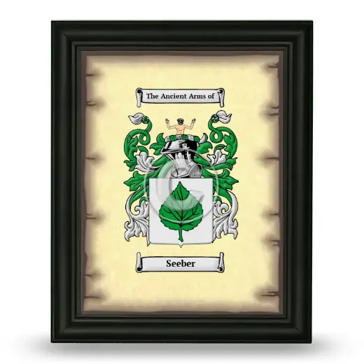 Seeber Coat of Arms Framed - Black