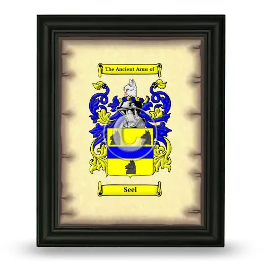 Seel Coat of Arms Framed - Black
