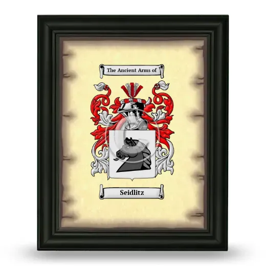 Seidlitz Coat of Arms Framed - Black